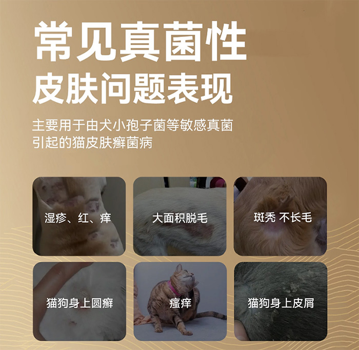 优思韦-宁伊曲康 优思韦-宁伊曲康唑内服溶液